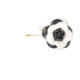 زهرة غامضة
