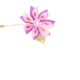 علكة