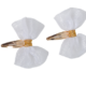 الهندباء